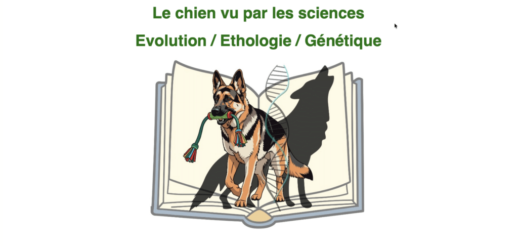 Séminaire : Le chien vu par les sciences Evolution / Ethologie / Génétique proposé par la FRC
