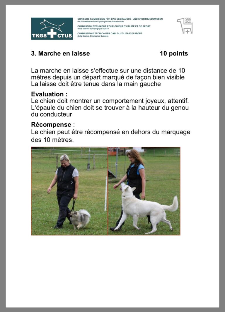 Form. Moniteur 2025 2026 02 24 10.47.04 768x1063