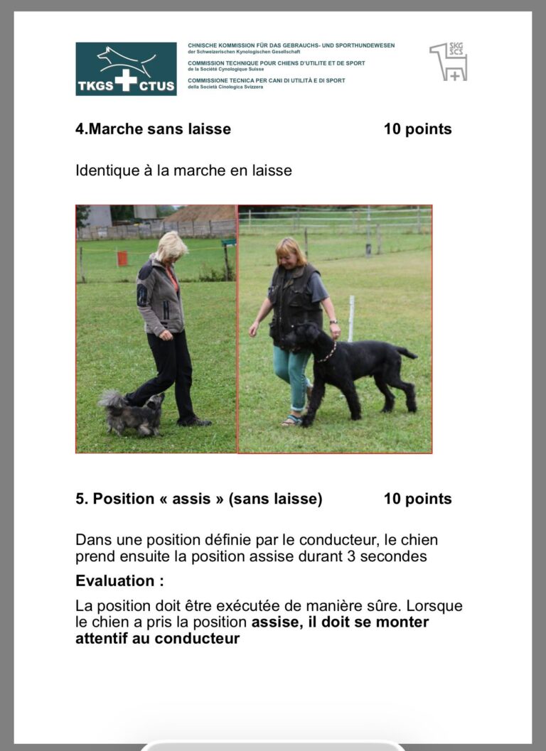 Form. Moniteur 2025 2026 02 24 10.47.22 768x1057