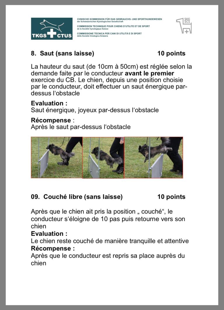 Form. Moniteur 2025 2026 02 24 10.47.37 768x1064