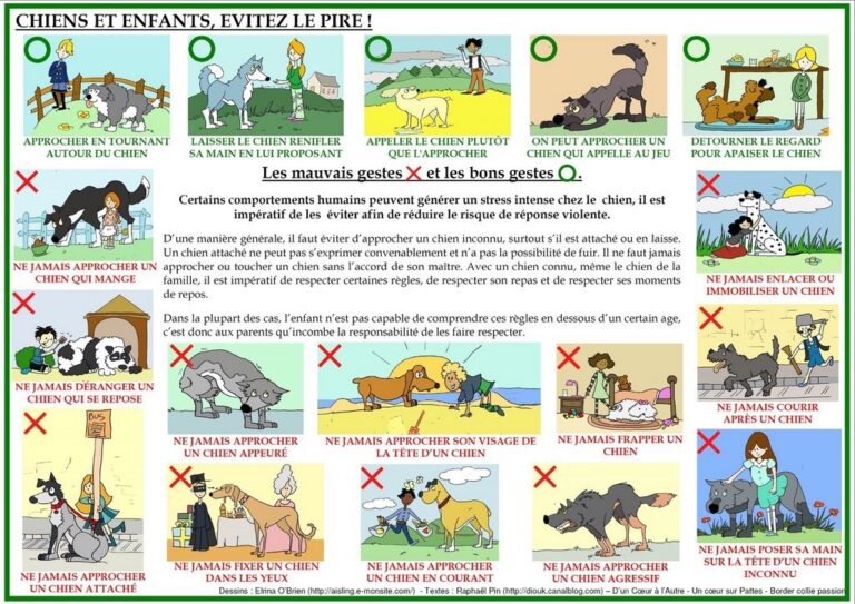 chien et enfant 3 768x543