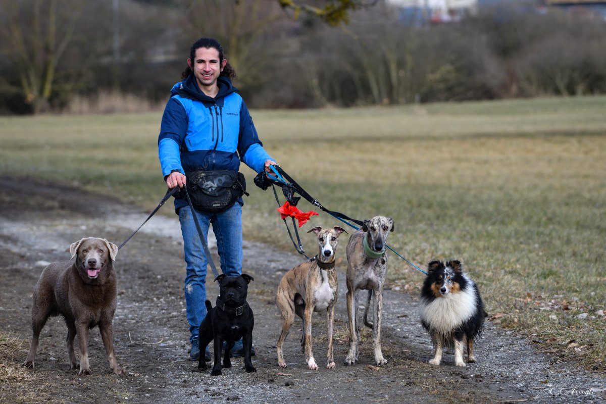 nzdogs 2026 01 26 007