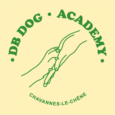 3 db dog academy whatsapp