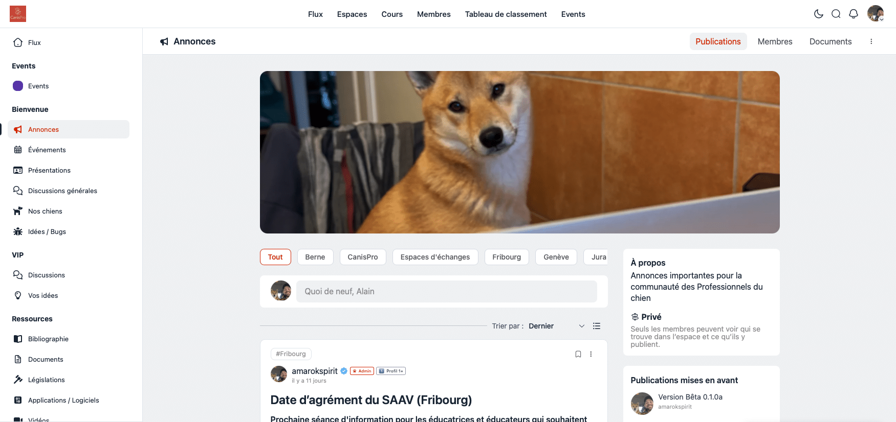 Chien Shiba Inu devant un ordinateur portable